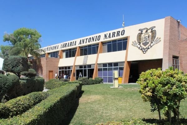 Universidades en Torreon Coahuila 